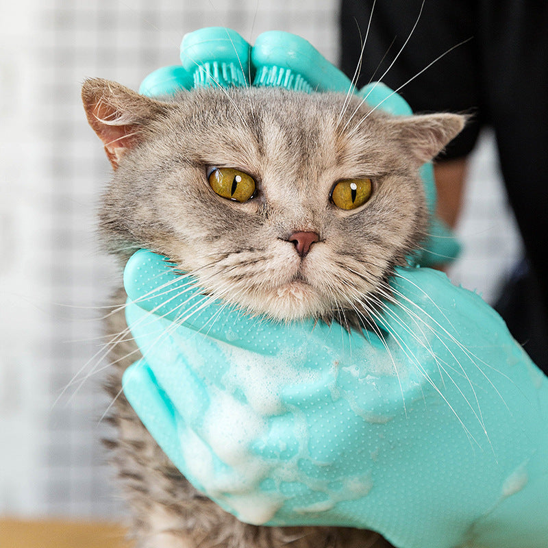 Green Pet Grooming Glove for Cats and Small Dogs