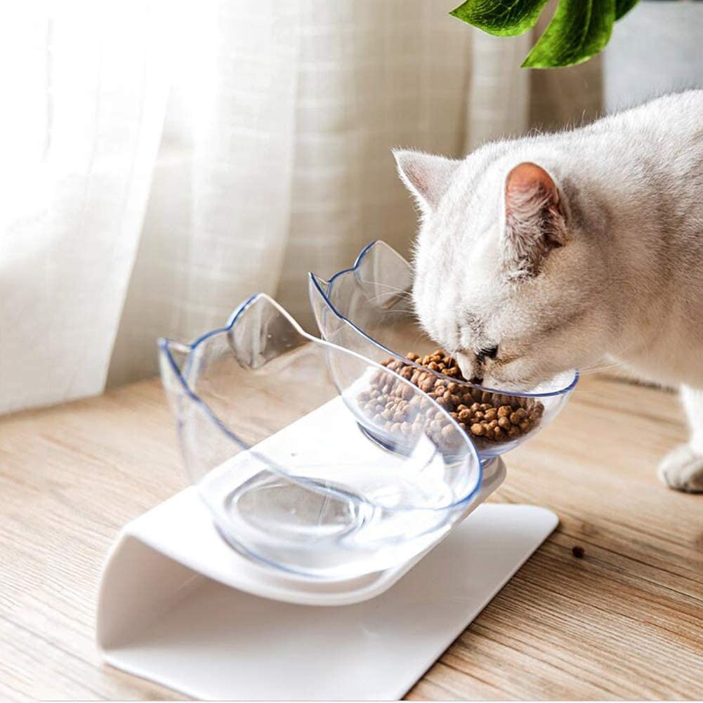 Elevated Cat Feeder Stand with Transparent Double Bowl