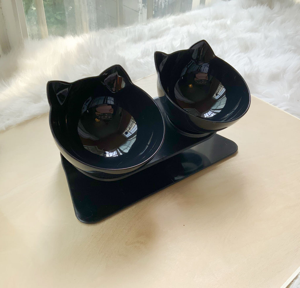 Elevated Cat Feeder Stand with Transparent Double Bowl